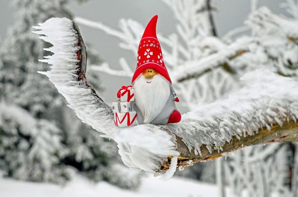 LAS MEJORES OPCIONES PARA ESTA NAVIDAD