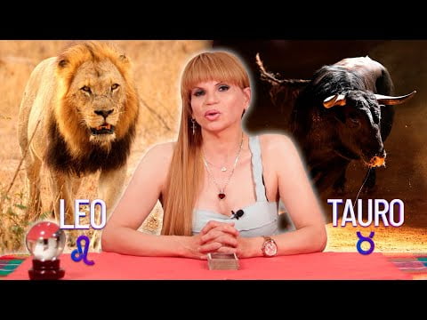 Descubre qué animal representa a Aries